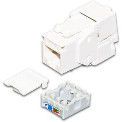 Wirewin CAT6A Gigabit Keystone, UTP