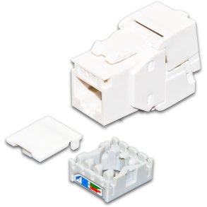 Wirewin CAT6A Gigabit Keystone, UTP