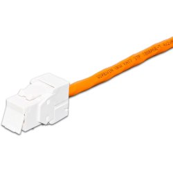 Wirewin CAT6A Gigabit Keystone, UTP