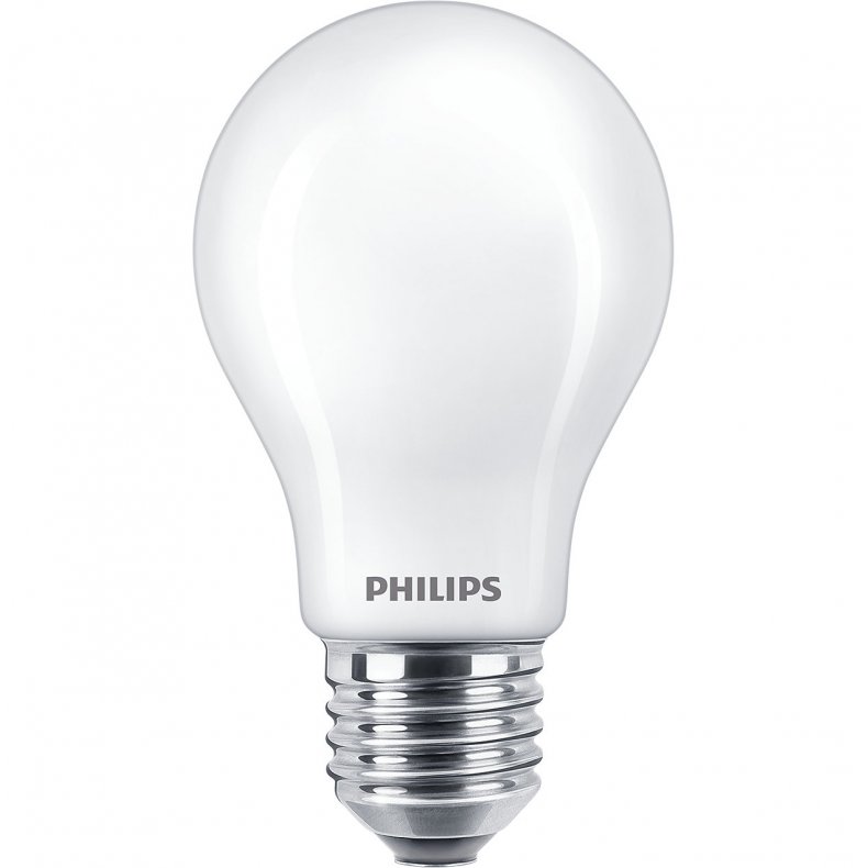 Philips LED 100 watt 