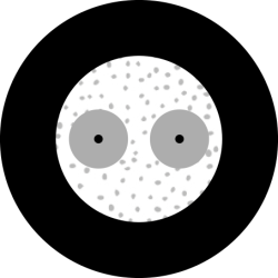 2 Singlemode Fiber 900um CFO 2 900D