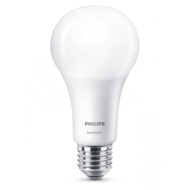 Philips LED 100 watt