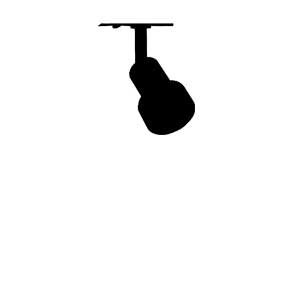 Spot